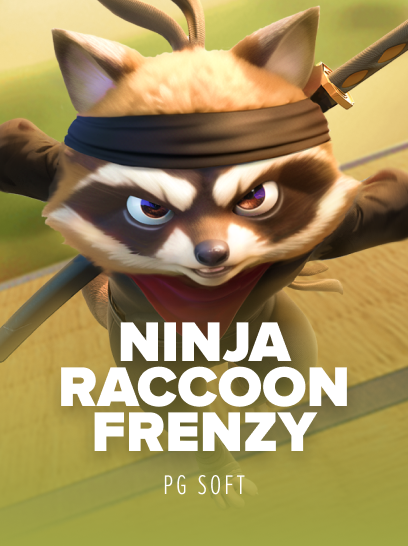 Ninja Raccoon